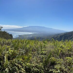 Meet your Posher, Loretta